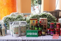 Phát triển sản phẩm OCOP bảo đảm đúng quy trình