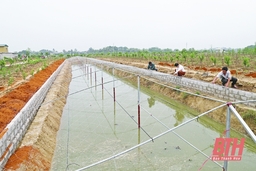 Thực trạng phát triển nông nghiệp gắn với xây dựng nông thôn mới ở Thanh Hóa