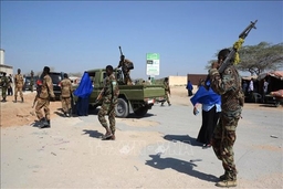 Quân đội Quốc gia Somalia tiêu diệt 19 phần tử al-Shabab