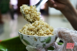 Ngọt ngào hương vị cơm rượu nếp