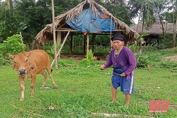 Phát huy vai trò của hệ thống chính trị trong công tác giảm nghèo