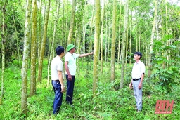 Đảng bộ huyện Như Thanh lãnh đạo thực hiện chương trình phát triển nông nghiệp và xây dựng nông thôn mới