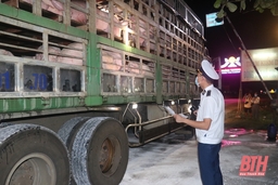 Lực lượng chức năng trắng đêm kiểm soát vận chuyển động vật