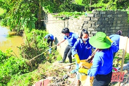 Tuổi trẻ huyện Đông Sơn chung tay xây dựng nông thôn mới kiểu mẫu