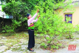 Đảng viên gương mẫu đi đầu trong phát triển kinh tế, xóa đói, giảm nghèo