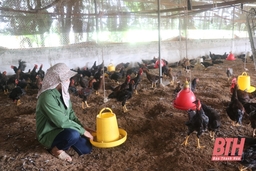 Huyện Cẩm Thủy phát triển kinh tế trang trại