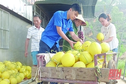 Hỗ trợ tiêu thụ nông sản – hành động đẹp giữa mùa dịch