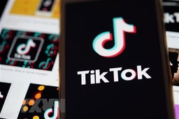 TikTok gỡ hàng triệu tài khoản nghi không trung thực về độ tuổi