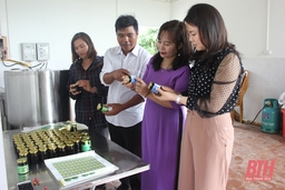 Hỗ trợ hội viên, phụ nữ phát triển kinh tế gắn với xây dựng thương hiệu, đầu ra sản phẩm