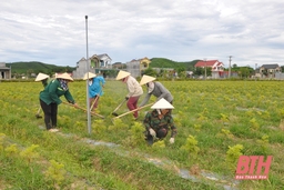 Huyện Như Thanh đẩy mạnh ứng dụng khoa học công nghệ trong phát triển nông nghiệp 