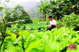 Huyện đoàn Quan Sơn hỗ trợ đoàn viên, thanh niên phát triển kinh tế