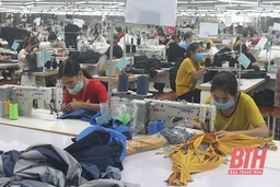 Thanh Hóa triển khai thực hiện Nghị quyết số 68/NQ-CP về một số chính sách hỗ trợ người lao động và người sử dụng lao động gặp khó khăn do đại dịch COVID-19