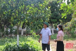 Cải tạo vườn hộ, xây dựng vườn mẫu ở huyện Hoằng Hóa
