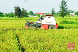 “Bức tranh” sáng trong thực hiện “mục tiêu kép”: Nông nghiệp tiếp đà tăng trưởng