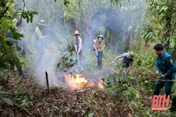 Hạt Kiểm lâm Bá Thước chủ động phòng, chống cháy rừng trong mùa khô
