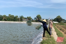 Xã Quảng Chính phát triển nuôi trồng thủy sản