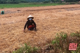 Xã Hà Sơn phát triển kinh tế, nâng cao thu nhập cho người dân