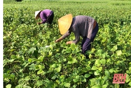 Đảng bộ xã Dân Quyền thực hiện các chương trình trọng tâm, khâu đột phá