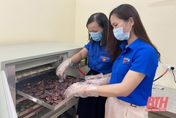 Khơi nguồn ý tưởng sáng tạo từ mô hình sản xuất trà Linh Chi Hồng Đức
