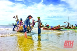 Khơi mở tiềm năng phát triển ngành thủy sản: Bài 2 - Tạo “cú huých” để phát triển bền vững