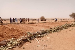 Niger: Các phần tử thánh chiến đột kích, giết hại 37 dân thường