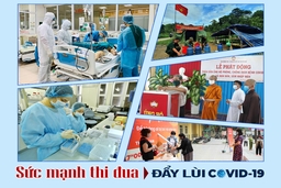 Chung sức trong đại dịch