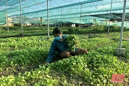 Đổi mới, nâng cao chất lượng sinh hoạt chi bộ ở Đảng bộ huyện Triệu Sơn