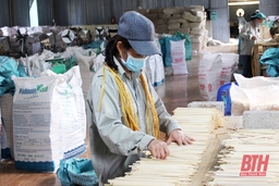 Đẩy mạnh thu hút các dự án đầu tư vào nông nghiệp, nông thôn