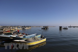 Israel nới lỏng kiểm soát và mở rộng vùng đánh cá tại Dải Gaza