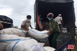 Công đoàn viên chức tỉnh Thanh Hóa hỗ trợ nông dân huyện đảo Lý Sơn tiêu thụ hơn 10 tấn tỏi