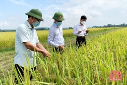 Sản xuất nông nghiệp, phòng chống thiên tai và xây dựng nông thôn mới trong tình hình dịch bệnh COVID-19