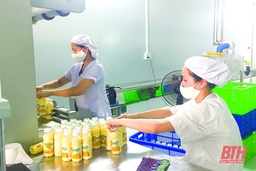 Tín dụng doanh nghiệp: Nghịch lý thiếu- thừa: Bài 1 - Những “nút thắt” chưa được mở