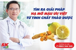 Giải pháp hạ mỡ máu ưu việt từ tinh chất thảo dược