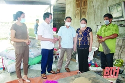 Phát triển đảng viên ở huyện Như Xuân