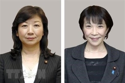 Nhật Bản: 5 phái trong LDP cho phép thành viên tự do bầu chủ tịch mới