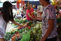 Đông Nam Á ứng phó với cuộc khủng hoảng lương thực vì COVID-19