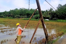 Công ty Điện lực Thanh Hoá chủ động khắc phục thiệt hại do mưa lớn kéo dài