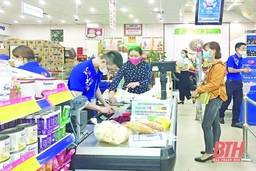 Hỗ trợ doanh nghiệp ứng dụng thương mại điện tử