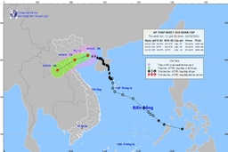 Bão số 7 suy yếu thành áp thấp nhiệt đới, bão Kompasu dự báo sắp vào Biển Đông