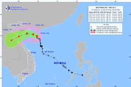 Tin bão khẩn cấp, cơn bão số 7