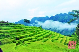 Từng bước đưa du lịch trở lại trạng thái “bình thường mới”