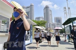 Triều Tiên đẩy nhanh tiến độ xây khu chung cư mới ở Bình Nhưỡng