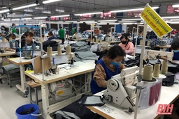 Liên đoàn Lao động huyện Hoằng Hóa phát triển mới 1.075 đoàn viên