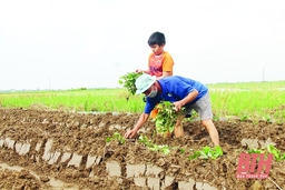 Nâng cao năng lực dự báo thị trường trong sản xuất nông nghiệp