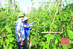 Công nhận 4 xã đạt chuẩn nông thôn mới và nông thôn mới nâng cao năm 2021