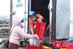 Giá hải sản xuống thấp do ảnh hưởng dịch bệnh