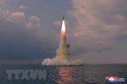 HĐBA họp khẩn cấp về vụ Triều Tiên phóng thử tên lửa từ tàu ngầm