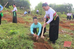 Tăng cường quản lý, sử dụng giống chất lượng cao trong trồng rừng