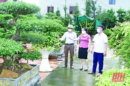 Triệu Sơn cán đích huyện nông thôn mới