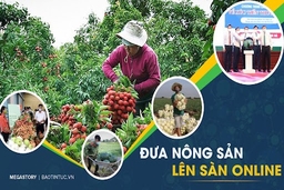 Thanh Hóa ban hành Kế hoạch truyền thông hỗ trợ đưa hộ sản xuất nông nghiệp lên sàn thương mại điện tử